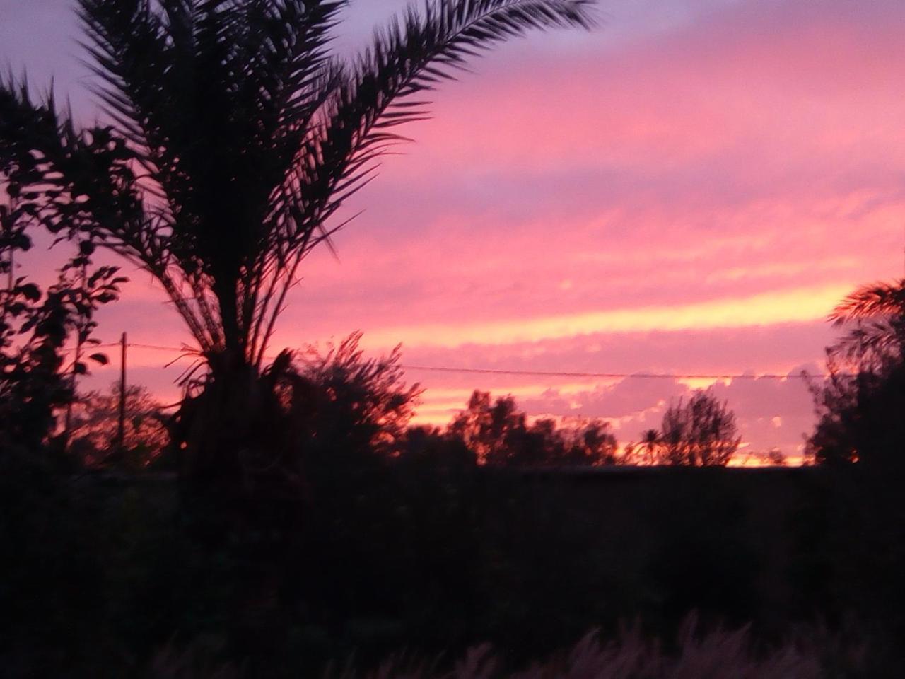 Dar Es Salam Hotel Skoura Luaran gambar